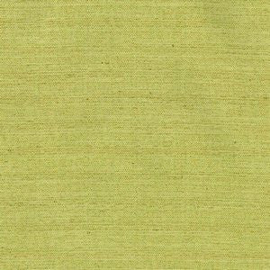 Kona Lime 18 by Norbar Designer Fabric