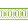 Kragon Tape 3 Spring by Stout Designer Trim