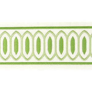 Kragon Tape 3 Spring by Stout Designer Trim