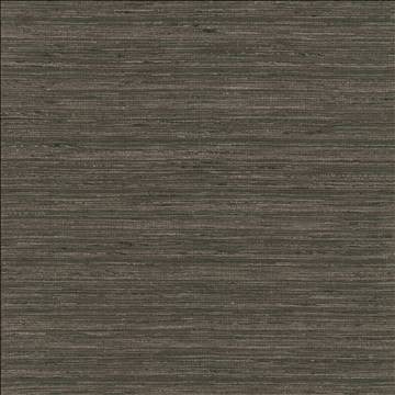 Karma Coal by Kasmir Designer Fabric