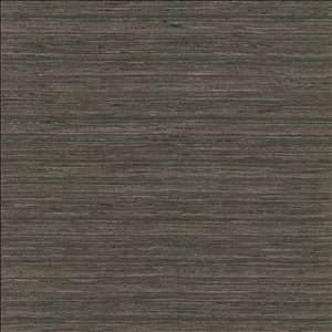Karma Coal by Kasmir Designer Fabric