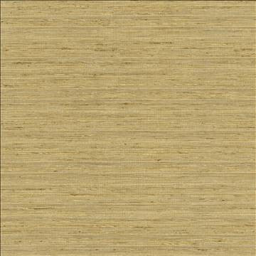 Karma Coin by Kasmir Designer Fabric