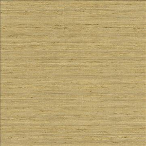 Karma Coin by Kasmir Designer Fabric