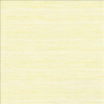 Karma Cream by Kasmir Designer Fabric