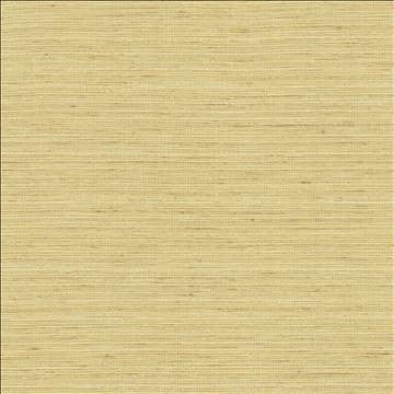 Karma Ecru by Kasmir Designer Fabric