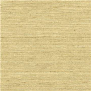 Karma Ecru by Kasmir Designer Fabric