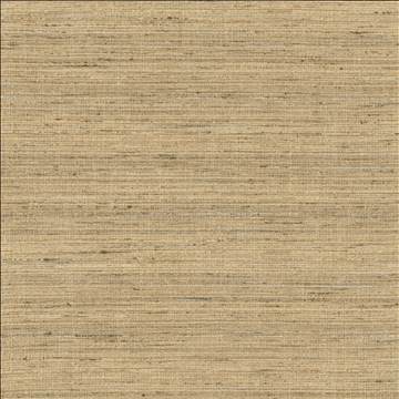 Karma Latte by Kasmir Designer Fabric