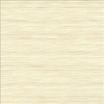 Karma Natural by Kasmir Designer Fabric