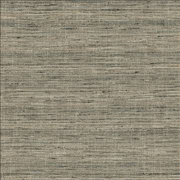 Karma Pewter by Kasmir Designer Fabric