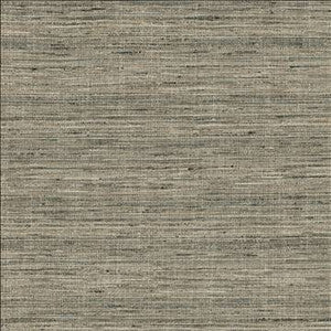 Karma Pewter by Kasmir Designer Fabric