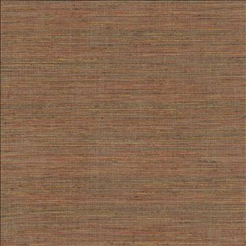 Karma Rust by Kasmir Designer Fabric