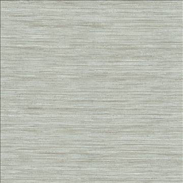 Karma Slate by Kasmir Designer Fabric