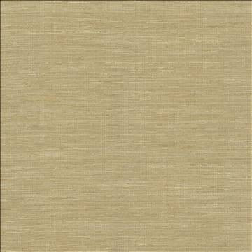 Karma Taupe by Kasmir Designer Fabric