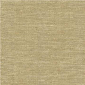 Karma Taupe by Kasmir Designer Fabric