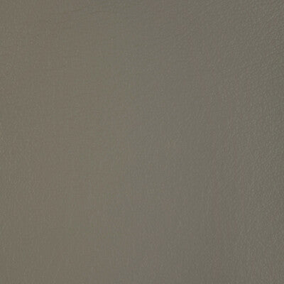 Kravet Design - Upholstery - L-BADGER.DOVE.0 - Upholstery - LEATHER - 100% - Italy </p><p>Repeat: H: , V: 27.5 21 - My Fabric Connection -