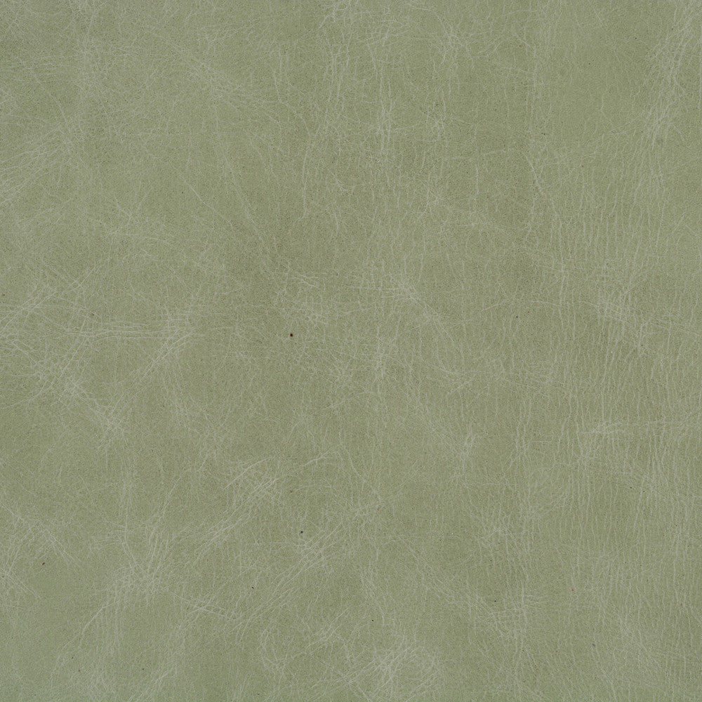 L-Beaumont-Eucalyptus by Kravet Basics Designer Fabric LEATHER - 100% United States MEDIUM Horizontal: and Vertical: - Swanky Fabrics -