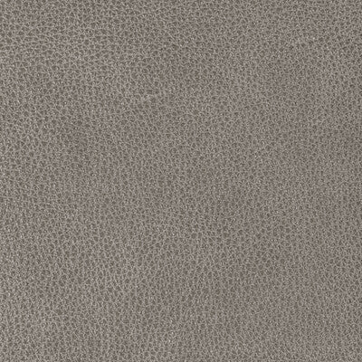 Kravet Design - Upholstery - L-BISON.ARMOR.0 - Upholstery - LEATHER - 100% - Brazil </p><p>Repeat: H: , V: 27.5 21 - My Fabric Connection -