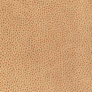 Kravet Design L-Bison-Biscotti L-BISON.BISCOTTI.0 By Kravet Design Designer Fabric