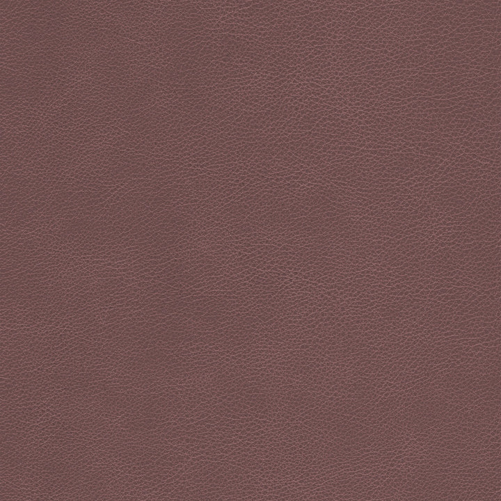 Kravet Design Upholstery L-CIMARRON.WHISKEY.0 Upholstery LEATHER - 100% Italy </p><p>Repeat: H: , V: 27.5 21 - My Fabric Connection -