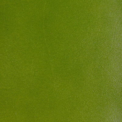 Kravet Design - Upholstery - L-COFFER.LIME.0 - Upholstery - LEATHER - 100% - Italy </p><p>Repeat: H: , V: 27.5 21 - My Fabric Connection -
