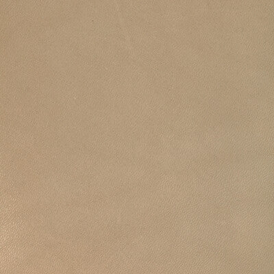 Kravet Design - Upholstery - L-COIRO.TAN.0 - Upholstery - LEATHER - 100% - Germany </p><p>Repeat: H: , V: 27.5 21 - My Fabric Connection -