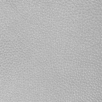 Kravet Design - Upholstery - L-CONCHAS.SILVER.0 - Upholstery - LEATHER - 100% - Italy </p><p>Repeat: H: , V: 27.5 21 - My Fabric Connection -