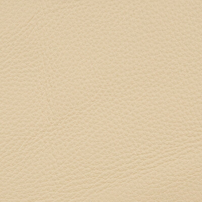Kravet Design - Upholstery - L-DELUXE.ICEBERG.0 - Upholstery - LEATHER - 100% - Brazil </p><p>Repeat: H: , V: 27.5 21 - My Fabric Connection -