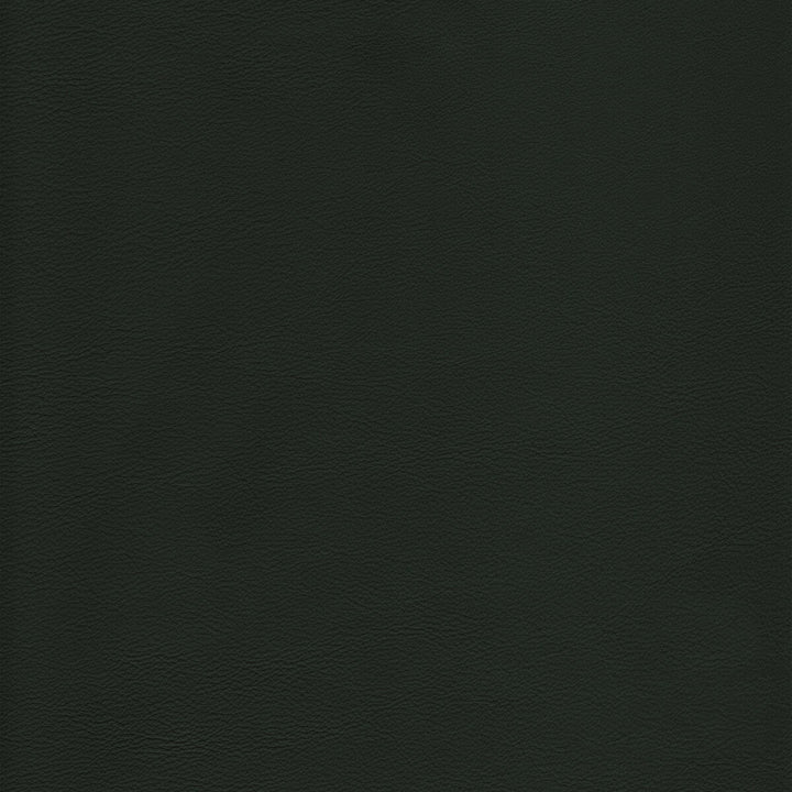 Kravet Design Upholstery L-HOWDY.EVERGREEN.0 Upholstery LEATHER - 100% Italy </p><p>Repeat: H: , V: 27.5 21 - My Fabric Connection -