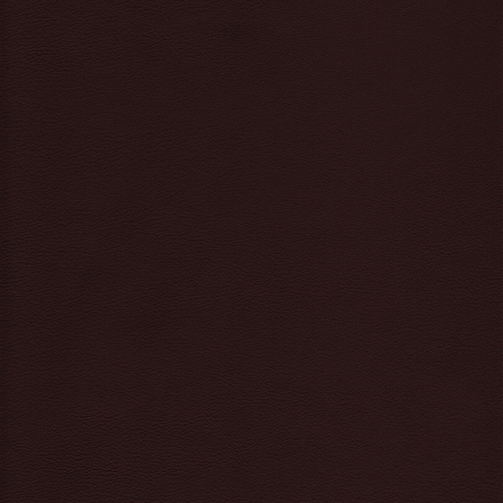 Kravet Design Upholstery L-HOWDY.MOCHA.0 Upholstery LEATHER - 100% Italy </p><p>Repeat: H: , V: 27.5 21 - My Fabric Connection -