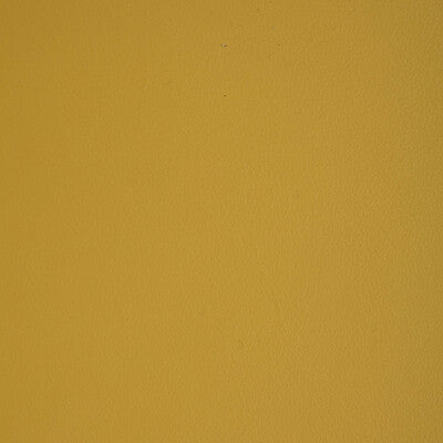 Kravet Design - Upholstery - L-HOWDY.SUNSHINE.0 - Upholstery - LEATHER - 100% - Italy </p><p>Repeat: H: , V: 27.5 21 - My Fabric Connection -