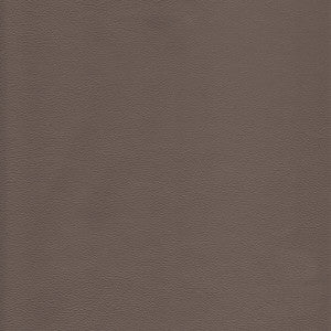 Kravet Design L-Howdy-Taupe L-HOWDY.TAUPE.0 by Kravet Design Fabric