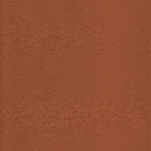 Kravet Design L-Howdy-Toffee L-HOWDY.TOFFEE.0 by Kravet Design Fabric