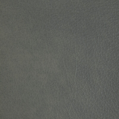 Kravet Design - Upholstery - L-LARAMIE.ABALONE.0 - Upholstery - LEATHER - 100% - Italy </p><p>Repeat: H: , V: 27.5 21 - My Fabric Connection -