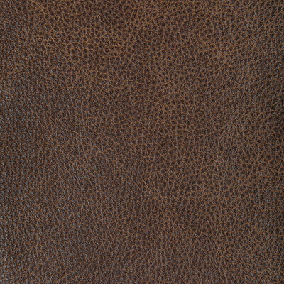 Kravet Design - Upholstery - L-NAMBE.COCOA.0 - Upholstery - LEATHER - 100% - Brazil </p><p>Repeat: H: , V: 27.5 21 - My Fabric Connection -