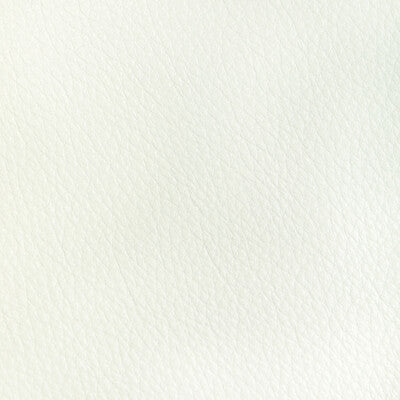 Kravet Design - Upholstery - L-REATA.SNOW.0 - Upholstery - LEATHER - 100% - Brazil </p><p>Repeat: H: , V: 27.5 21 - My Fabric Connection -