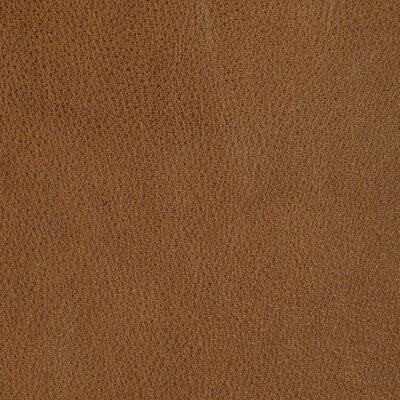 Kravet Design - Upholstery - L-REIN.CHAI.0 - Upholstery - LEATHER - 100% - Italy </p><p>Repeat: H: , V: 27.5 21 - My Fabric Connection -