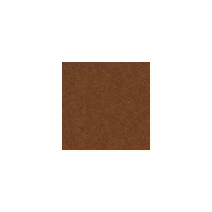 L-Texas-Brandy by Kravet Design Designer Fabric LEATHER - 100% Italy LIGHT Horizontal: 0 and Vertical: 0 - Swanky Fabrics -