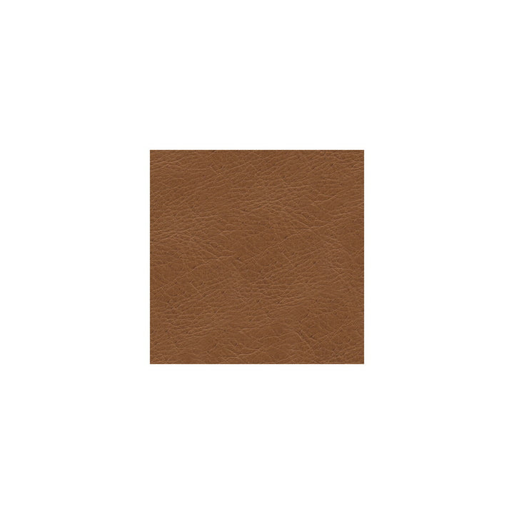 L-Timeless-Desert by Kravet Design Designer Fabric LEATHER - 100% Italy LIGHT Horizontal: 0 and Vertical: 0 - Swanky Fabrics -