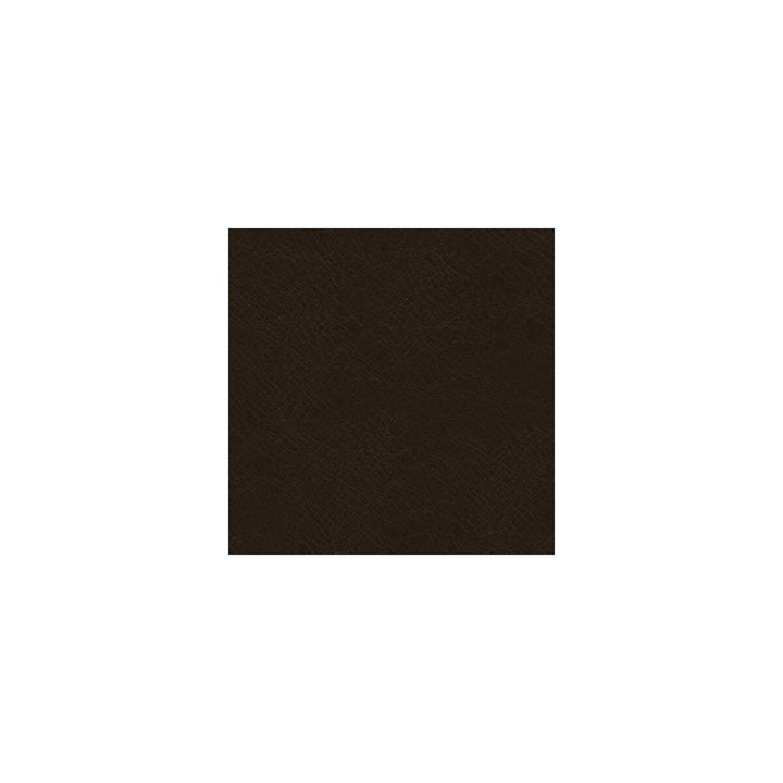 L-Timeless-Ebony by Kravet Design Designer Fabric LEATHER - 100% Italy LIGHT Horizontal: 0 and Vertical: 0 - Swanky Fabrics -