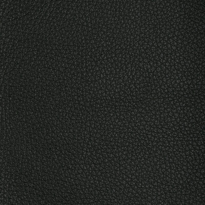 Kravet Design - Upholstery - L-TUCUM.BLACK.0 - Upholstery - LEATHER - 100% - United States </p><p>Repeat: H: , V: 27.5 21 - My Fabric Connection -