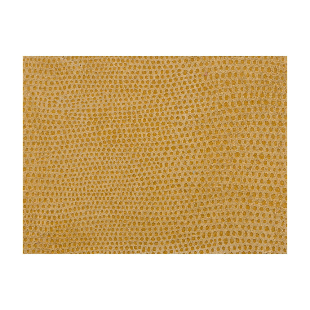 L-Vavoom Coin by Kravet Design Designer Fabric LEATHER - 100% Spain Horizontal: and Vertical: - Swanky Fabrics -
