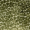 Landon Olive by Magnolia Designer Fabric