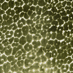 Landon Olive by Magnolia Designer Fabric