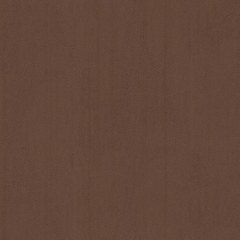 Lanister 1 Brown by Stout Fabric Stout Fabric Lanister 1 BrownFabric LEATHER LOOKS IV 100%PVC CHINA </p><p>Repeat: H: 0.000, V: 0.000 54 in - Fabric Carolina -