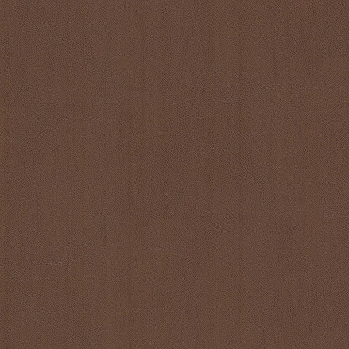 Lanister 1 Brown by Stout Fabric Stout Fabric Lanister 1 BrownFabric LEATHER LOOKS IV 100%PVC CHINA </p><p>Repeat: H: 0.000, V: 0.000 54 in - Fabric Carolina -