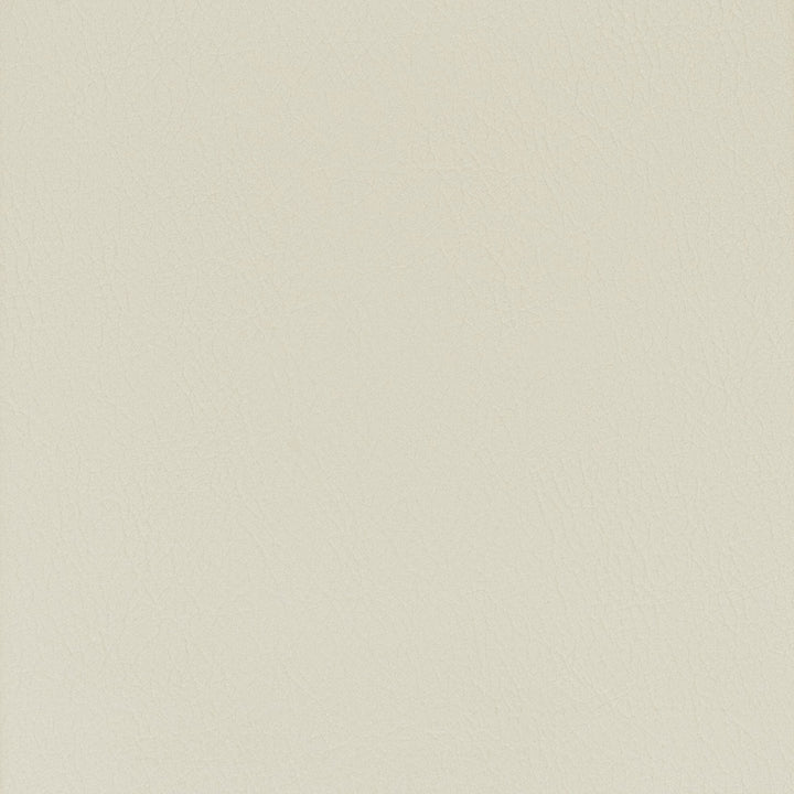Lanister 9 Fog by Stout Designer Fabric LEATHER LOOKS IV 100%PVC CHINA PERFORMANCE RATED FABRIC FLAME RETARDANT-U.F.A.C. CLASS 1 FLAME RETARDANT-N.F.P.A. 260A CLASS 1 CATB 117-2013 WYZENBEEK 500 000 DOUBLE RUB WEAR TEST(EXTREMELY HEAVY DUTY) Horizontal: 0 and Vertical: 0 54 in - Swanky Fabrics -