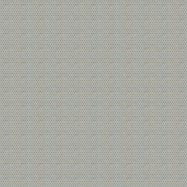 LATERAL 63J8001 by JF Designer Fabric Color Concepts Silver Sage 75% Polyester, 25% Cotton India  Horizontal: 13.625 and Vertical: 1 56  - Swanky Fabrics -