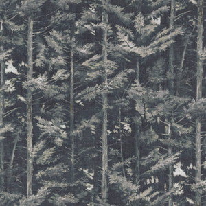 Latvia 3 Charcoal by Marcus William Designer Fabric
