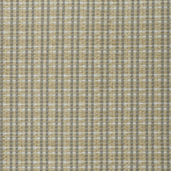 Mauregato Crudo by Gaston Y Daniela Designer Fabric LORENZO CASTILLO V COTTON - 54%;POLYAMIDE - 28%;POLYESTER - 18% Italy HEAVY Horizontal: 1.18 and Vertical: 1.18 54.33 - Swanky Fabrics -