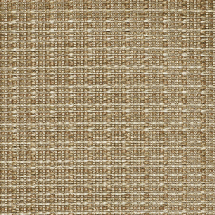 Mauregato Paja by Gaston Y Daniela Designer Fabric LORENZO CASTILLO V COTTON - 54%;POLYAMIDE - 28%;POLYESTER - 18% Italy HEAVY Horizontal: 1.18 and Vertical: 1.18 54.33 - Swanky Fabrics -